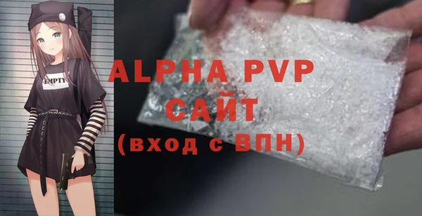индика Горно-Алтайск