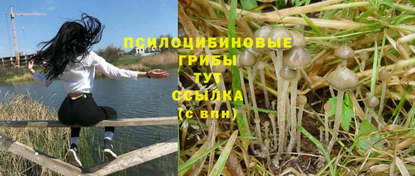 индика Горно-Алтайск