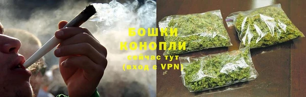 индика Горно-Алтайск