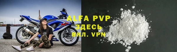 индика Горно-Алтайск