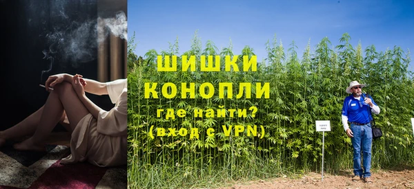 индика Горно-Алтайск
