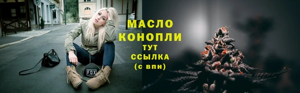 индика Горно-Алтайск