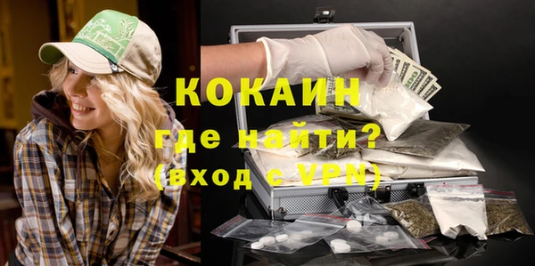 индика Горно-Алтайск
