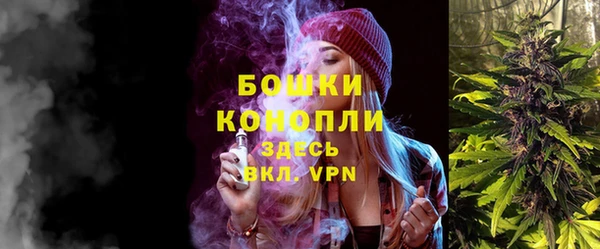 индика Горно-Алтайск