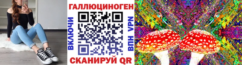 Купить закладки  Новотроицк  Галлюциногенные грибы мицелий 