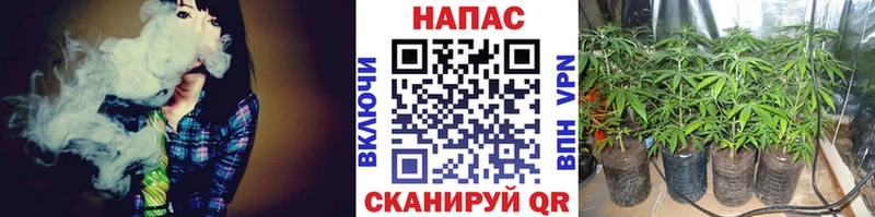 Бошки марихуана VHQ Купить где Новотроицк
